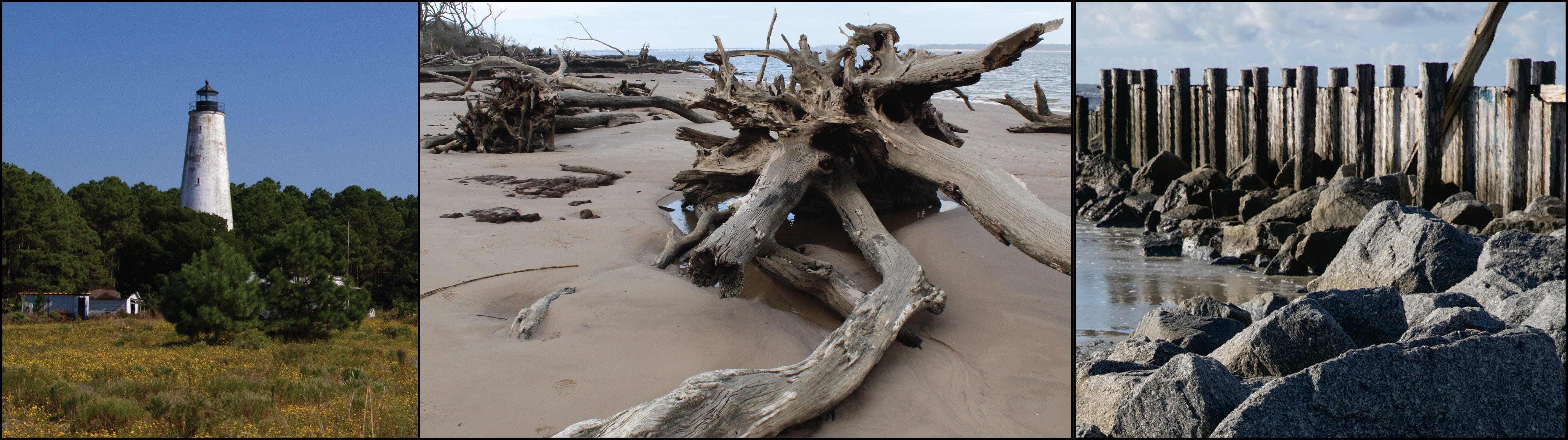 pictures of the coast near Charleston, SC