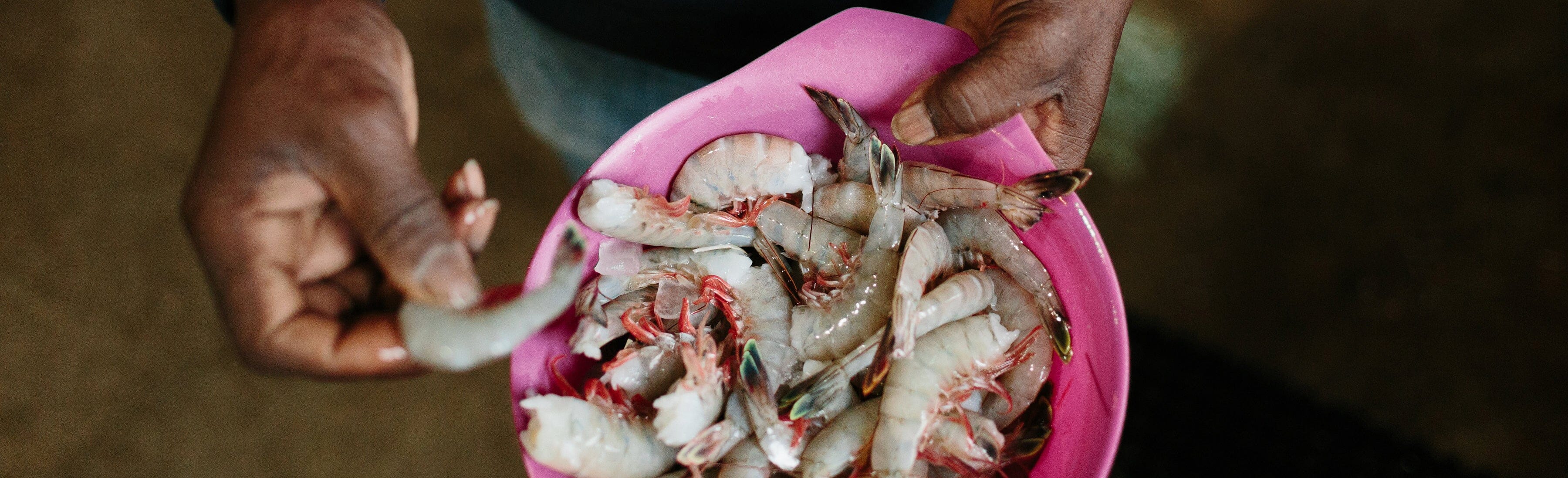 Reflections of a Veteran Shrimper