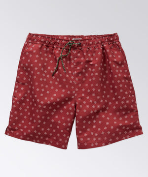 mens printed swim trunk